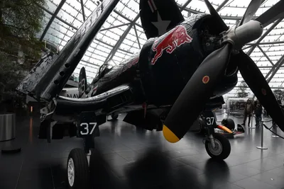 DSC_7096 (Large).JPG